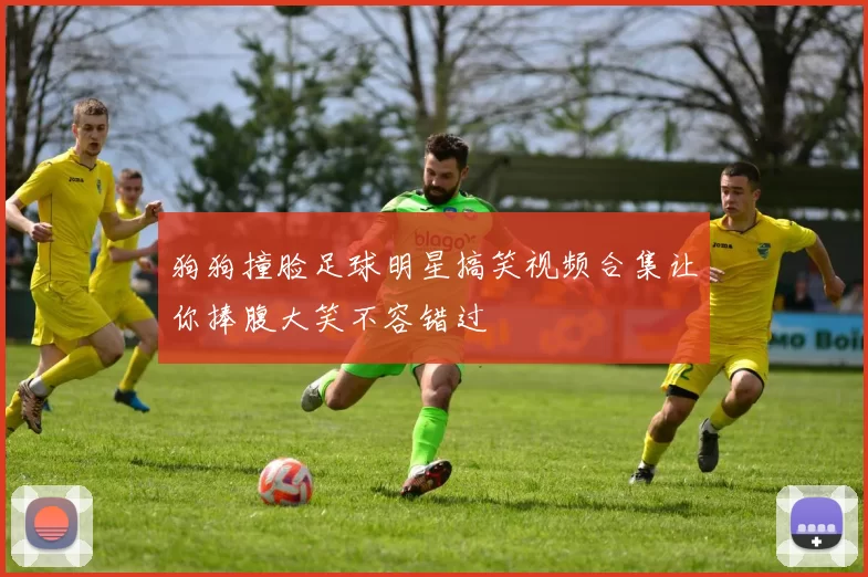 狗狗撞脸足球明星搞笑视频合集让你捧腹大笑不容错过