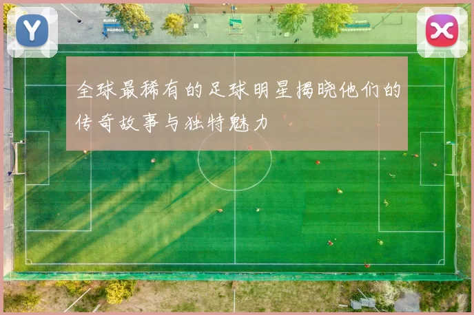 全球最稀有的足球明星揭晓他们的传奇故事与独特魅力