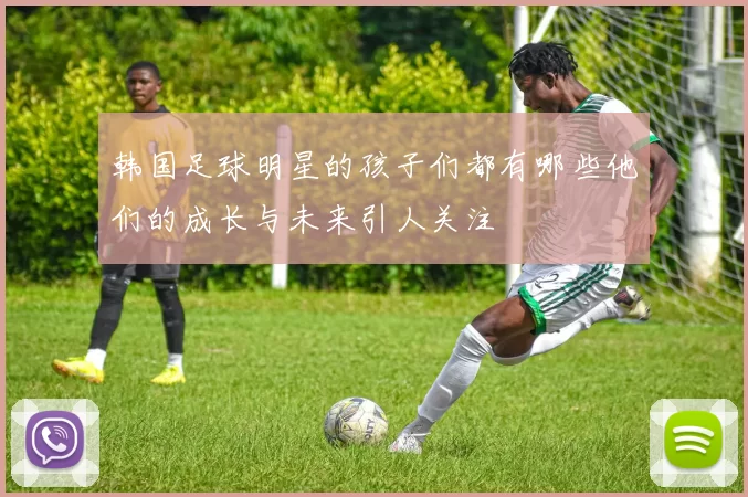 韩国足球明星的孩子们都有哪些他们的成长与未来引人关注