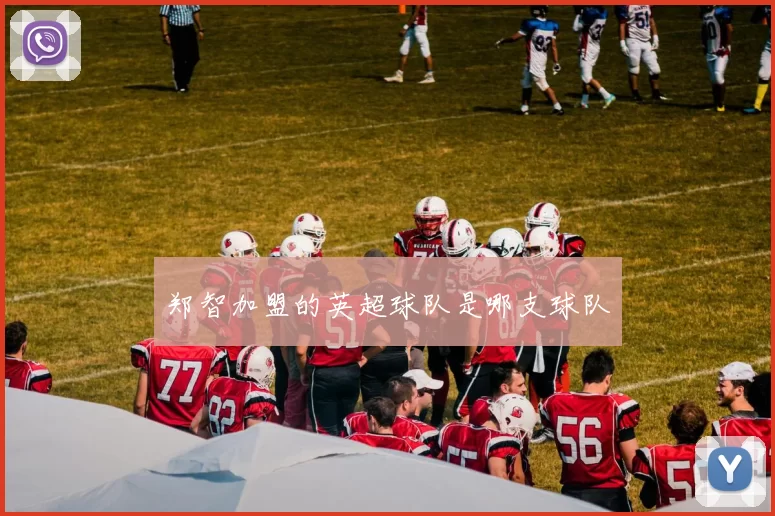 郑智加盟的英超球队是哪支球队
