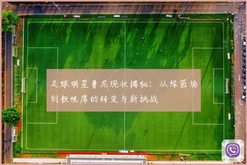 足球明星鲁尼现状揭秘：从绿茵场到教练席的转变与新挑战