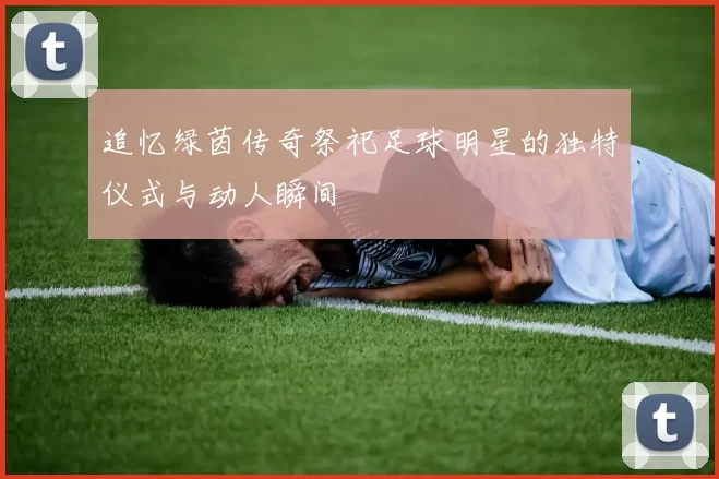 追忆绿茵传奇祭祀足球明星的独特仪式与动人瞬间