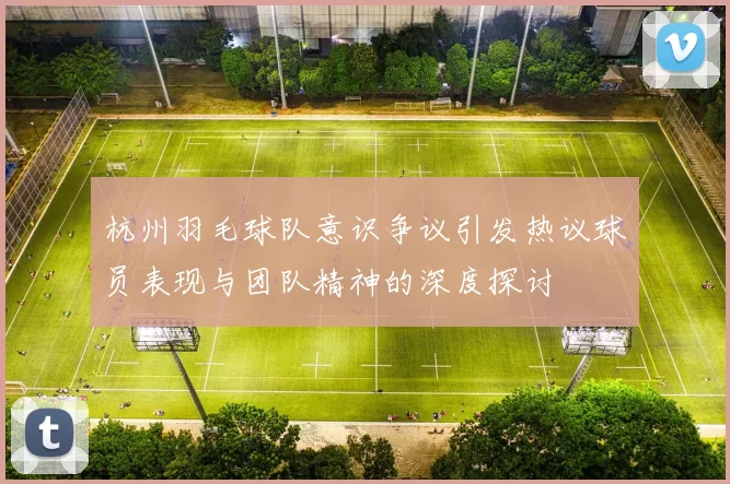 杭州羽毛球队意识争议引发热议球员表现与团队精神的深度探讨