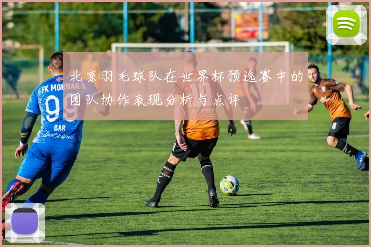 北京羽毛球队在世界杯预选赛中的团队协作表现分析与点评