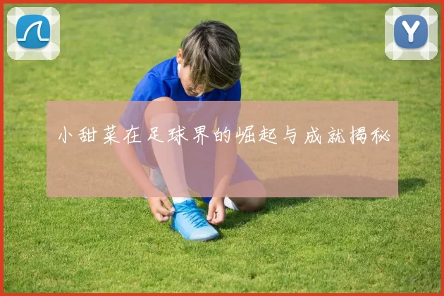 小甜菜在足球界的崛起与成就揭秘