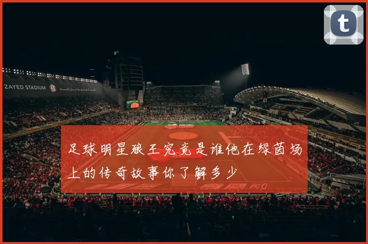 足球明星狼王究竟是谁他在绿茵场上的传奇故事你了解多少