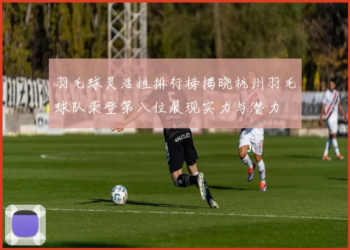 羽毛球灵活性排行榜揭晓杭州羽毛球队荣登第八位展现实力与潜力