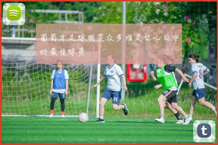 葡萄牙足球明星众多谁是你心目中的最佳球员