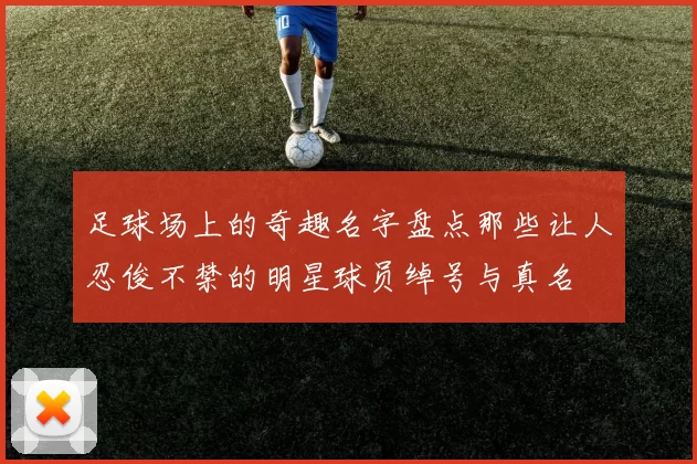 足球场上的奇趣名字盘点那些让人忍俊不禁的明星球员绰号与真名