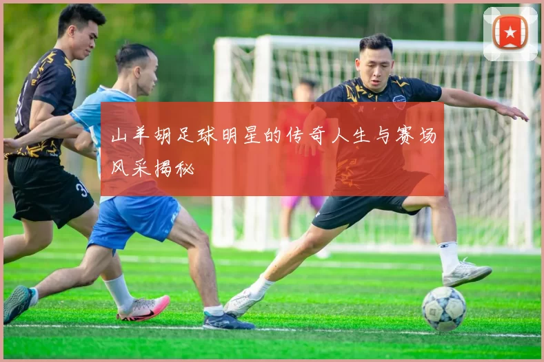 山羊胡足球明星的传奇人生与赛场风采揭秘