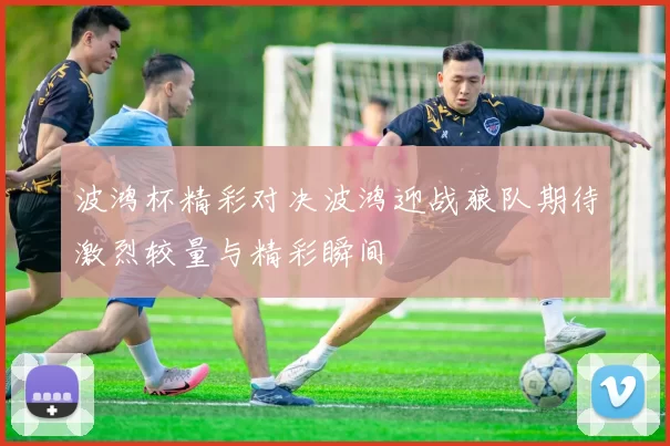 波鸿杯精彩对决波鸿迎战狼队期待激烈较量与精彩瞬间