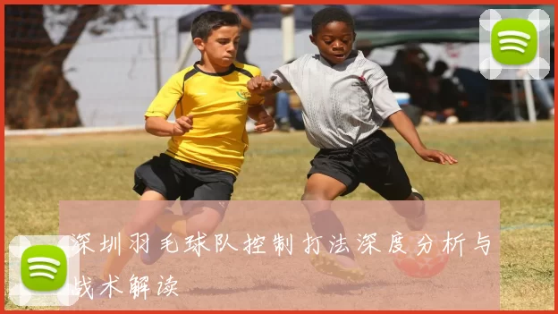 深圳羽毛球队控制打法深度分析与战术解读