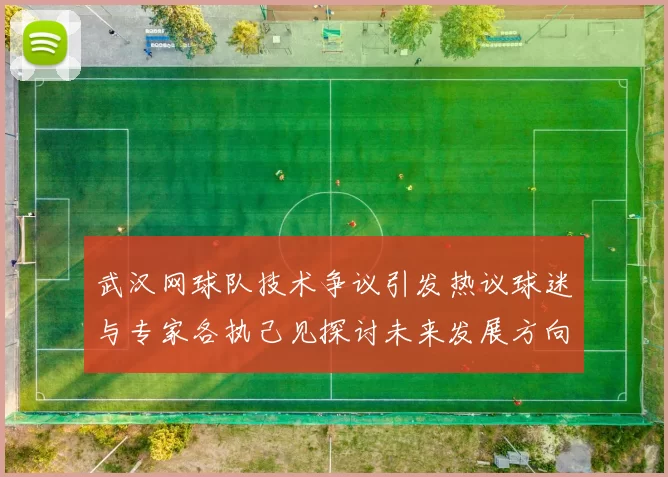 武汉网球队技术争议引发热议球迷与专家各执己见探讨未来发展方向