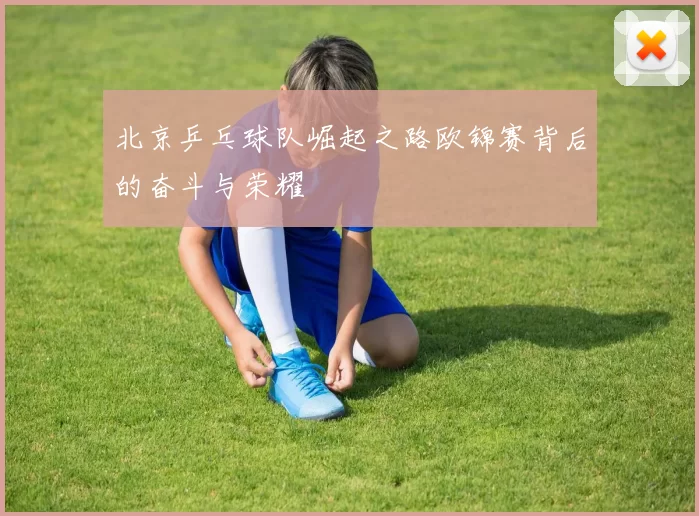 北京乒乓球队崛起之路欧锦赛背后的奋斗与荣耀