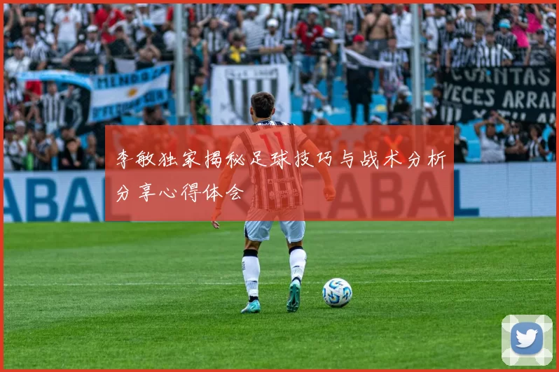 李敏独家揭秘足球技巧与战术分析分享心得体会