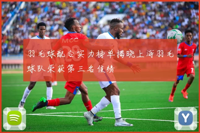 羽毛球配合实力榜单揭晓上海羽毛球队荣获第三名佳绩