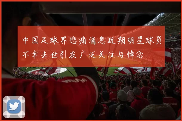 中国足球界悲痛消息近期明星球员不幸去世引发广泛关注与悼念