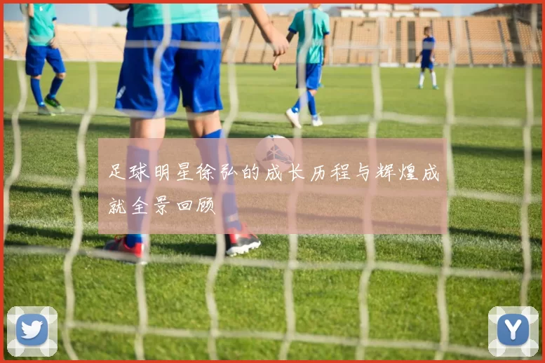 足球明星徐弘的成长历程与辉煌成就全景回顾