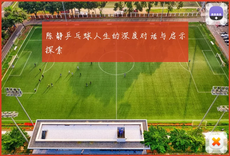 陈静乒乓球人生的深度对话与启示探索