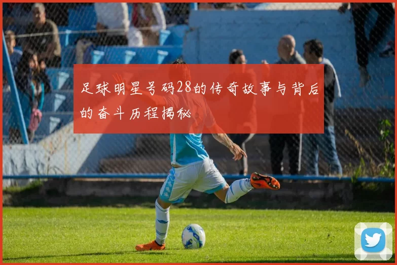 足球明星号码28的传奇故事与背后的奋斗历程揭秘