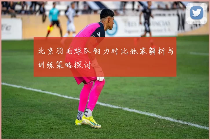 北京羽毛球队耐力对比独家解析与训练策略探讨