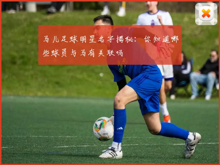 马儿足球明星名字揭秘：你知道哪些球员与马有关联吗