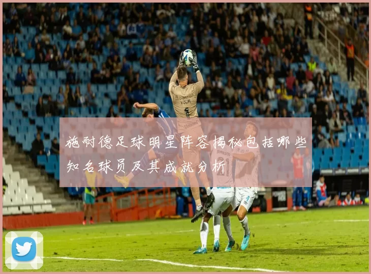 施耐德足球明星阵容揭秘包括哪些知名球员及其成就分析