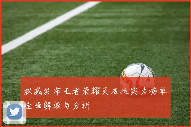 权威发布王者荣耀灵活性实力榜单全面解读与分析