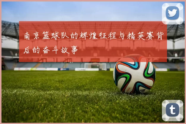南京篮球队的辉煌征程与精英赛背后的奋斗故事
