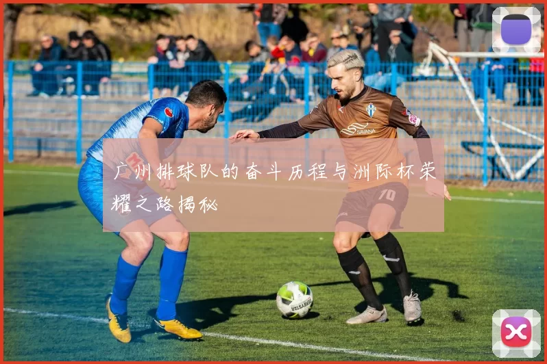 广州排球队的奋斗历程与洲际杯荣耀之路揭秘