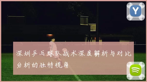 深圳乒乓球队战术深度解析与对比分析的独特视角