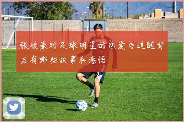 张峻豪对足球明星的热爱与追随背后有哪些故事和感悟