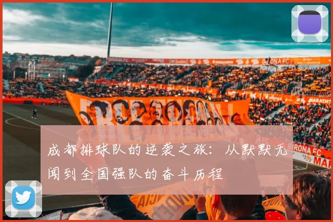 成都排球队的逆袭之旅：从默默无闻到全国强队的奋斗历程