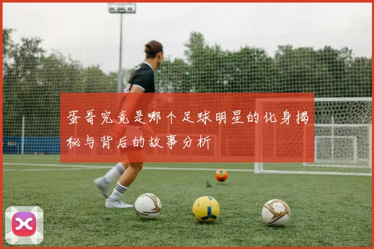 蛋哥究竟是哪个足球明星的化身揭秘与背后的故事分析
