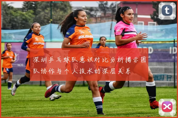 深圳乒乓球队意识对比分析揭示团队协作与个人技术的深层关系