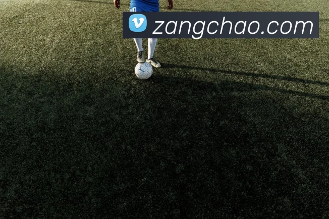 奖项图1
