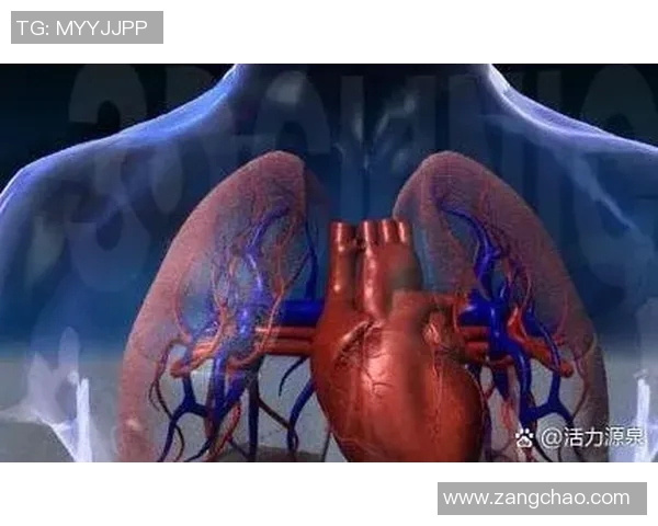 有氧运动助力健康生活 提升心肺功能与身体耐力的科学方法